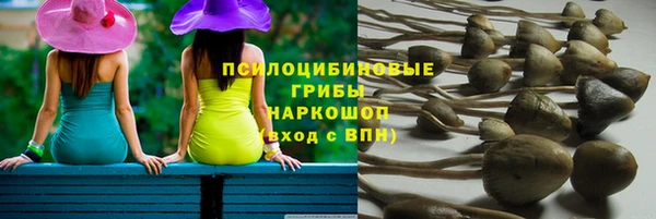 бошки Абинск