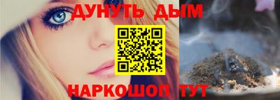 индика Новозыбков