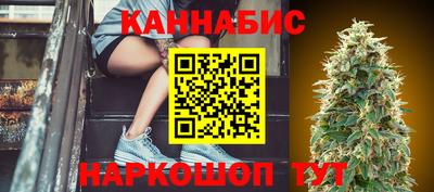 индика Новозыбков