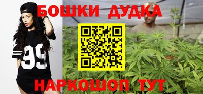 индика Новозыбков