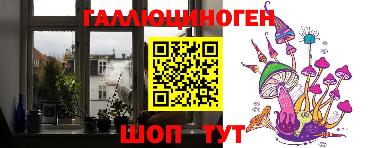 Псилоцибиновые грибы прущие грибы Грозный
