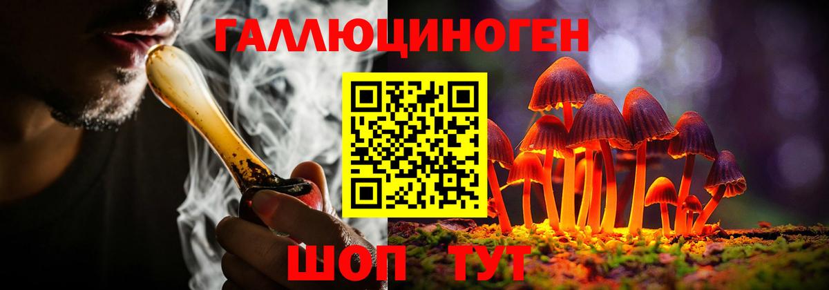 где купить наркоту  Псилоцибиновые грибы ЛСД  Вход с VPN  Галлюциногенные грибы Cubensis  Грозный 