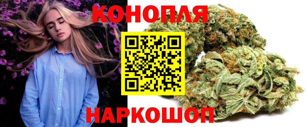 Канабис OG Kush  Бошки Шишки OG Kush  Грозный  МАРИХУАНА VHQ  Конопля семена  Вход с VPN 